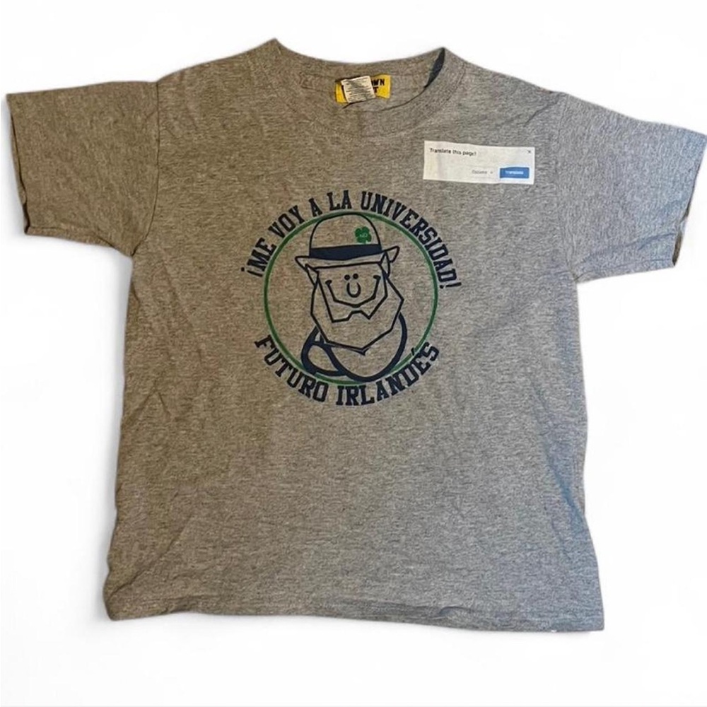 Gray Chinatown Market Notre Dame t-shirt